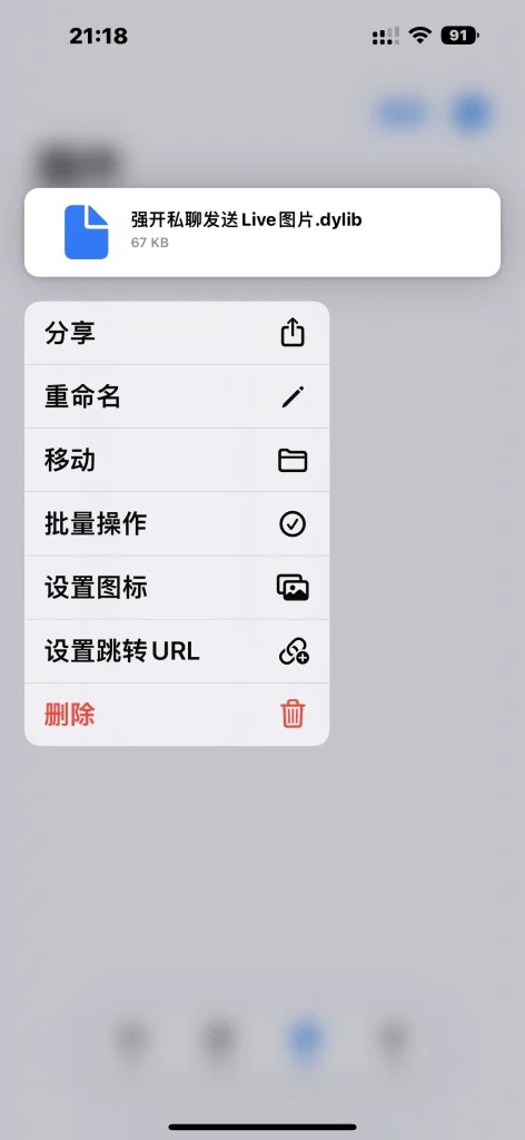 图片[5]-最新TrollStore魔改版 v2.1-iPA资源库