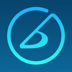 iReal PRO 2025.6-iPA资源库